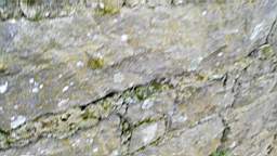 acastle 105765.jpg